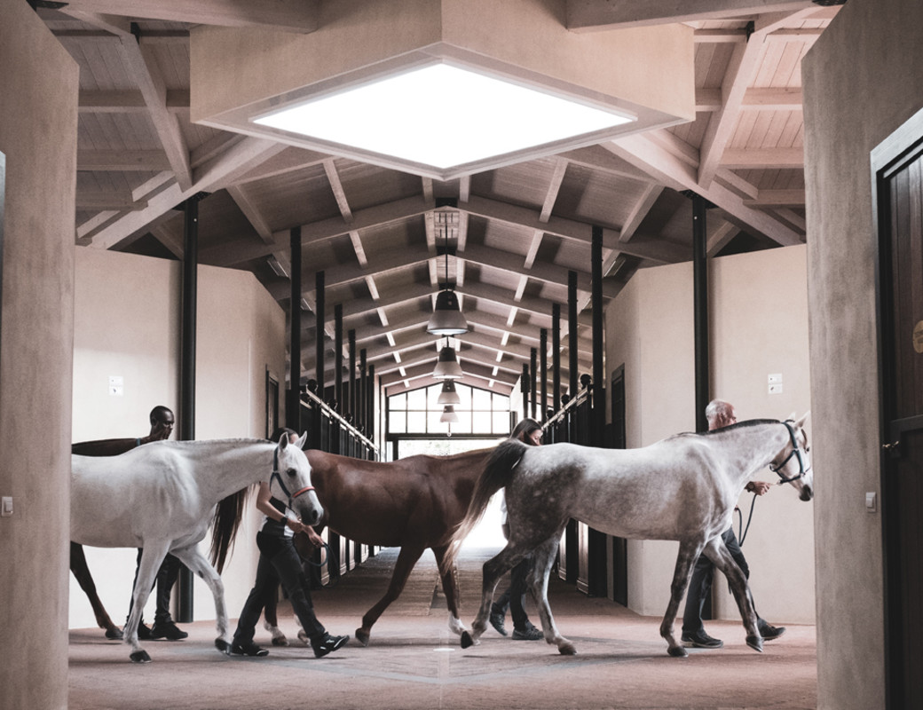 The Italia Endurance Stables & Academy - a true piece of paradise surrounded by unspoilt nature, entirely dedicated to Pure Arab horses and equestrian sports, in Umbria, Italy