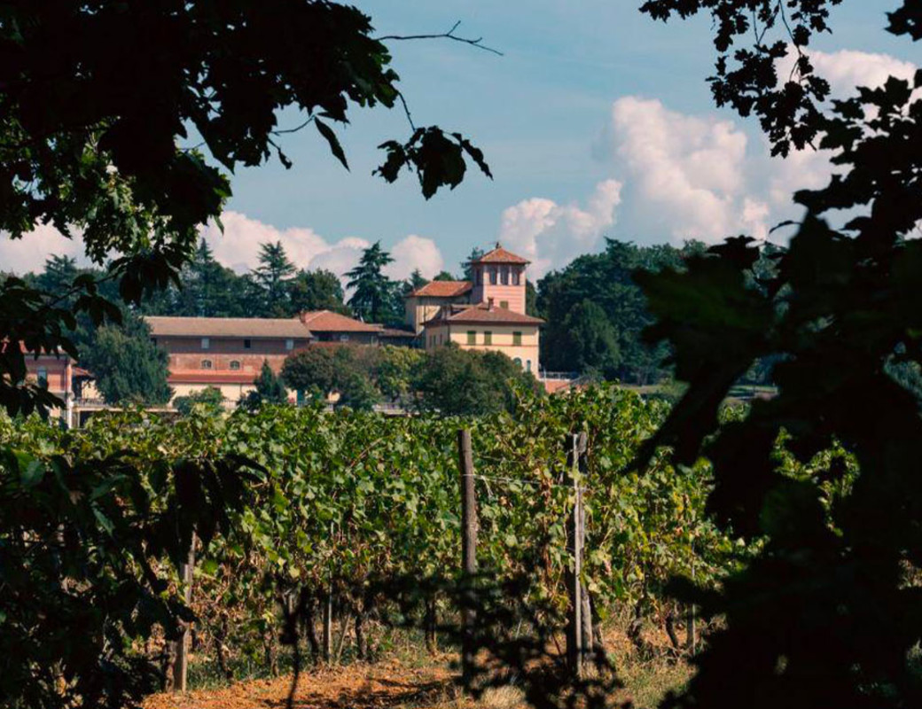 La Scolca Winery