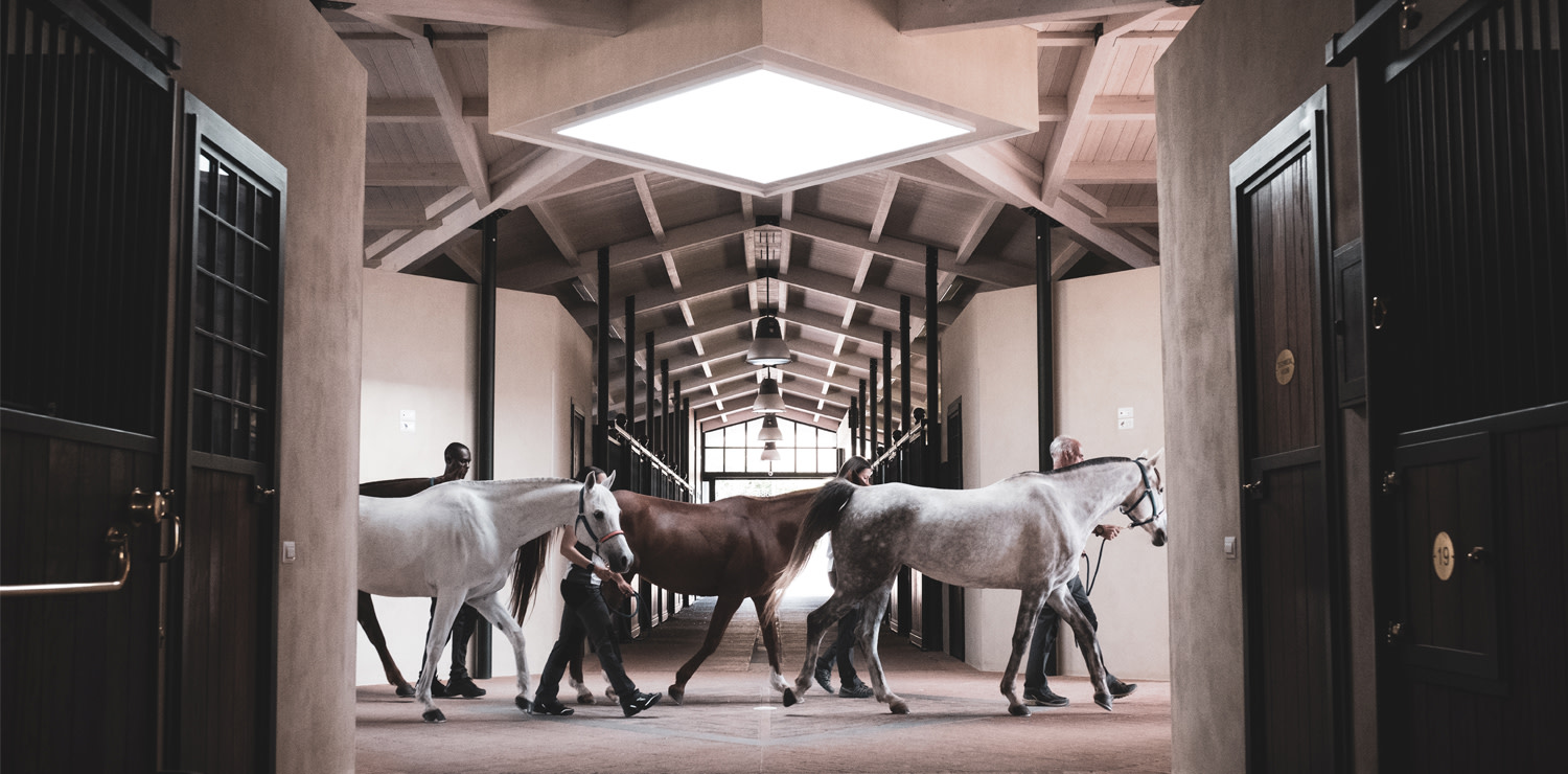 The Italia Endurance Stables & Academy - a true piece of paradise surrounded by unspoilt nature, entirely dedicated to Pure Arab horses and equestrian sports, in Umbria, Italy