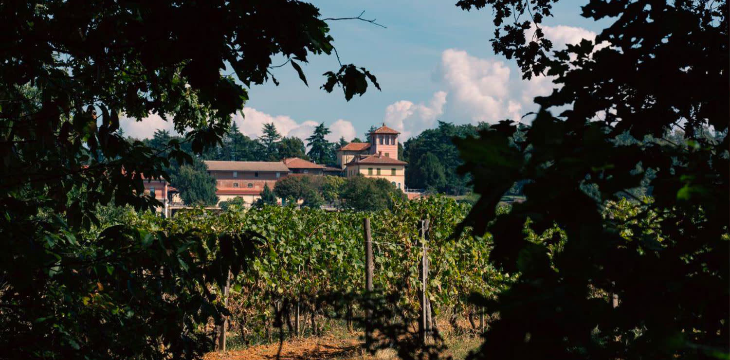La Scolca Winery