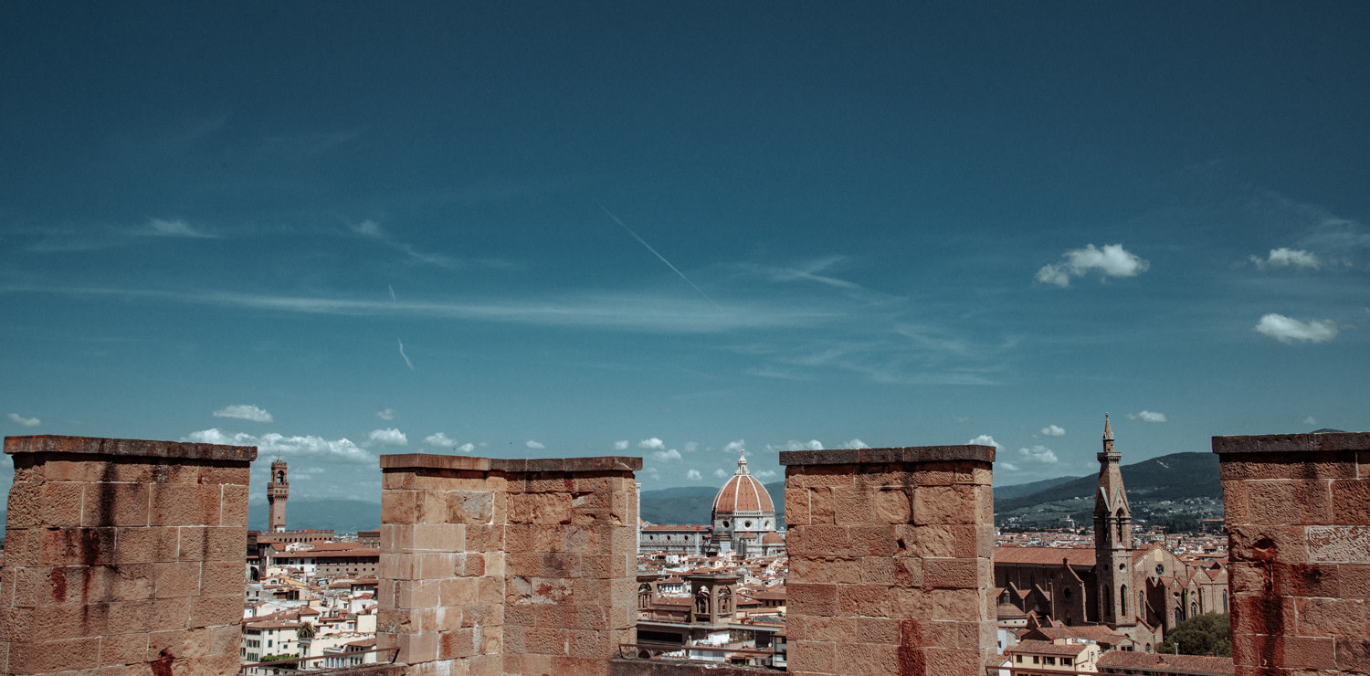 Vista di Firenze 