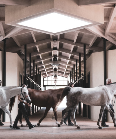 The Italia Endurance Stables & Academy - a true piece of paradise surrounded by unspoilt nature, entirely dedicated to Pure Arab horses and equestrian sports, in Umbria, Italy