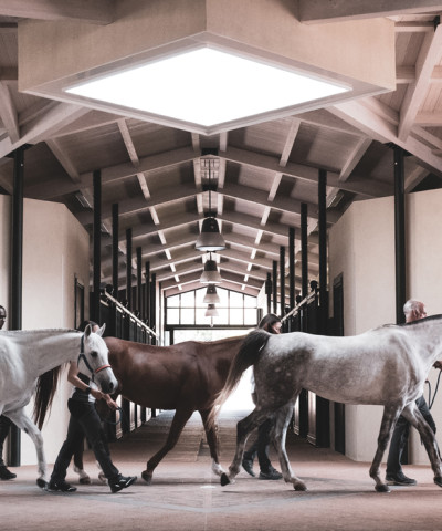 L'Italia Endurance Stables & Academy - un vero e proprio angolo di paradiso immerso nella natura incontaminata, interamente dedicato ai cavalli arabi puri e agli sport equestri, in Umbria, Italia