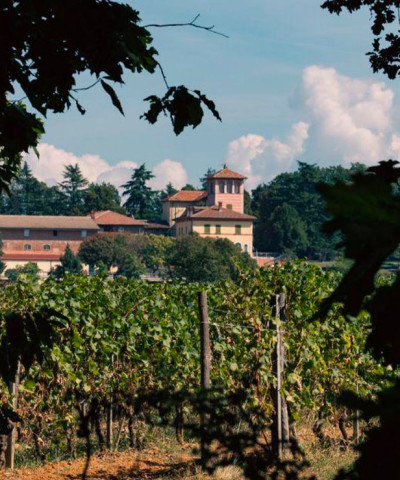 La Scolca Winery